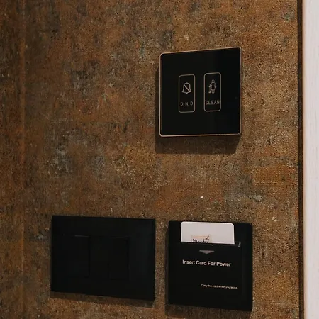 酒店 Ledina 奥里库姆