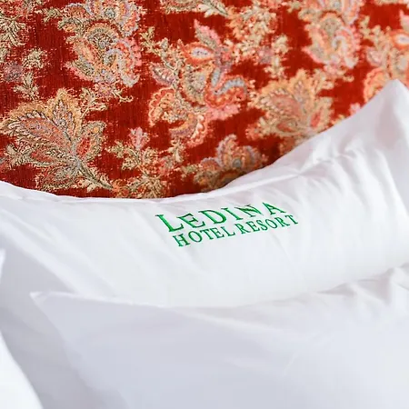 Ledina Hotel
