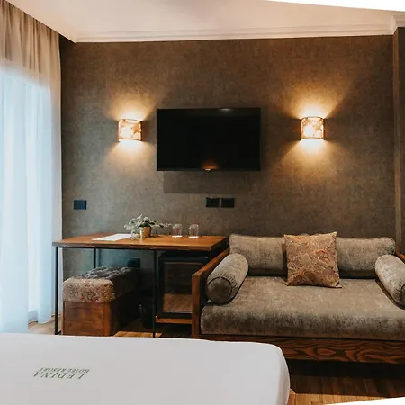 Hotel Ledina 4*