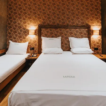 Hotel Ledina